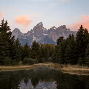 masterstudy_placeholder